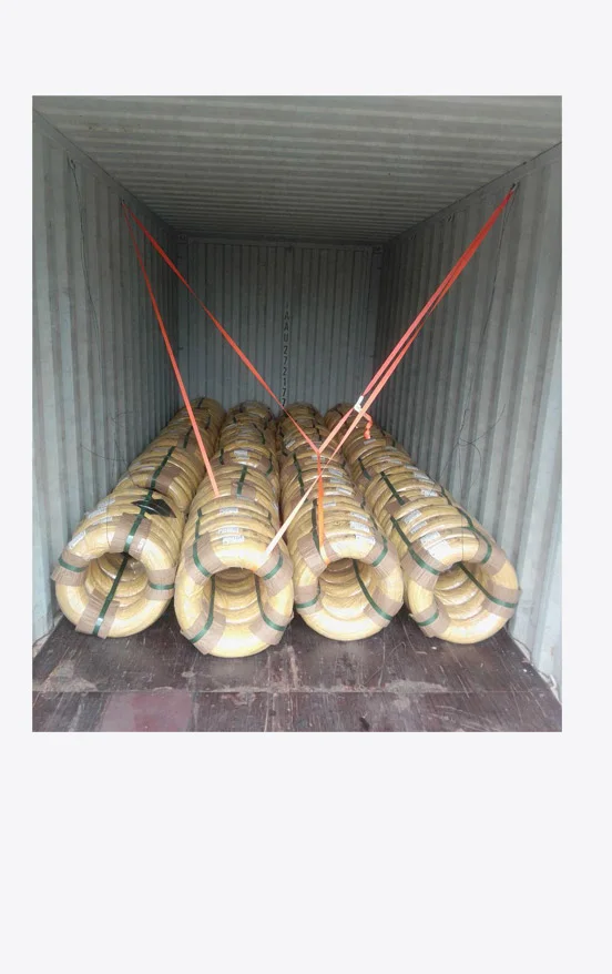 Foto af læsning i container